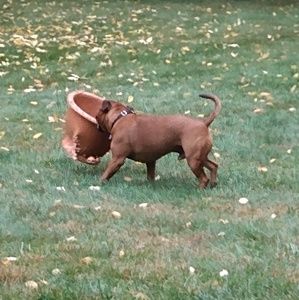 Meet your Posher, Clinton